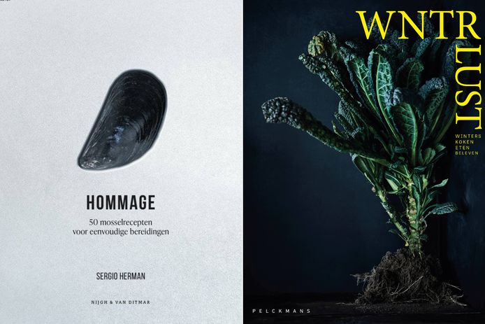 Tributes from Sergio Herrmann and WNTRLUST by Wout Hendrix, Debbie de Mangelier and Elise van de Poel