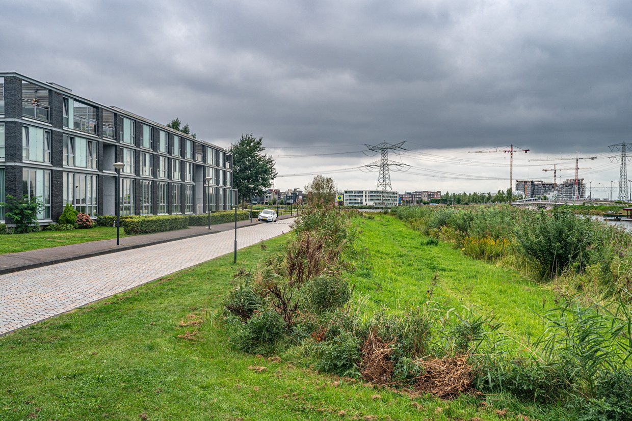 Green spaces and parking around the sports fields in Diemerpark.  Sculpture by Joris van Gennep