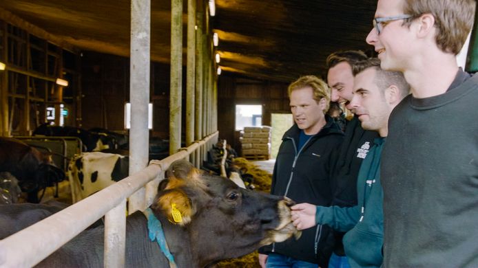 Farmer Rob with Wesley, Branco, and Joffrey.