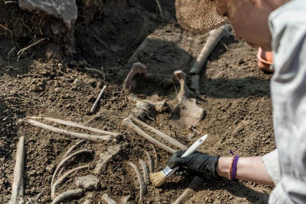 Archaeologists find human bones near the church