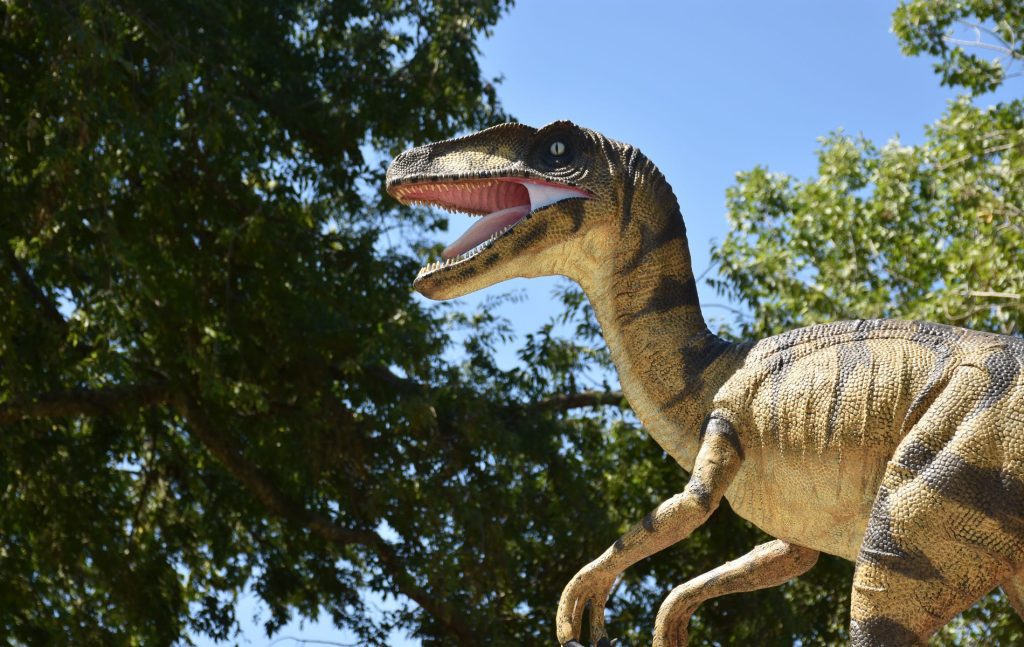 The footprints of an overgrown bird of prey have been discovered in China