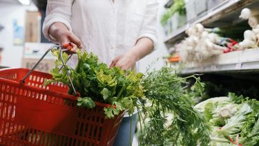 How healthy are garden herbs like celery?