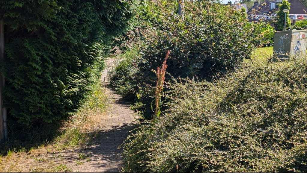 Omroep Flevoland – News – “Worthless”: Almere Haven residents complain about neglect of public spaces