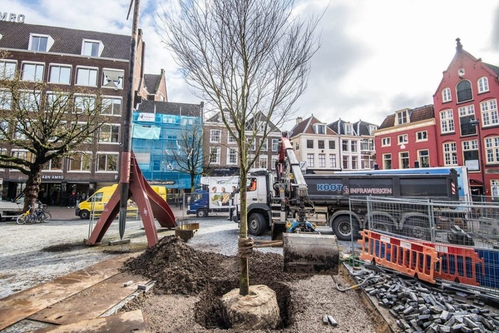 Reduction in public places in Utrecht;  Smaller trees and no more sheep