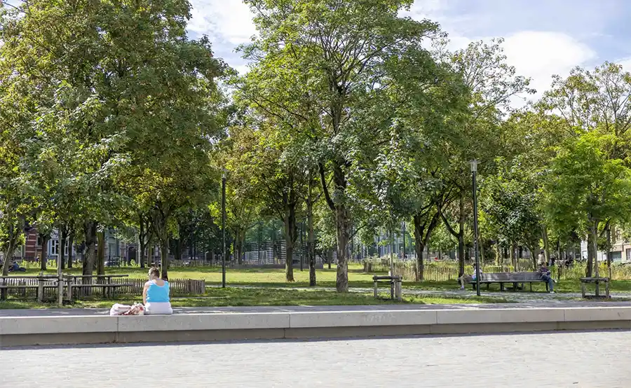 The renewed public space scenario ensures high quality public space.