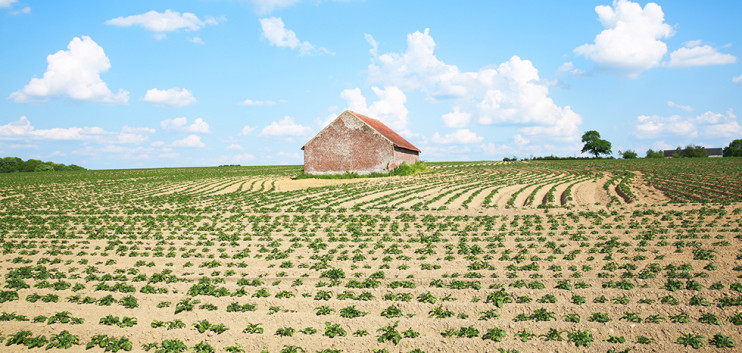 Belgium’s land area figures are particularly surprising – News Potatoes