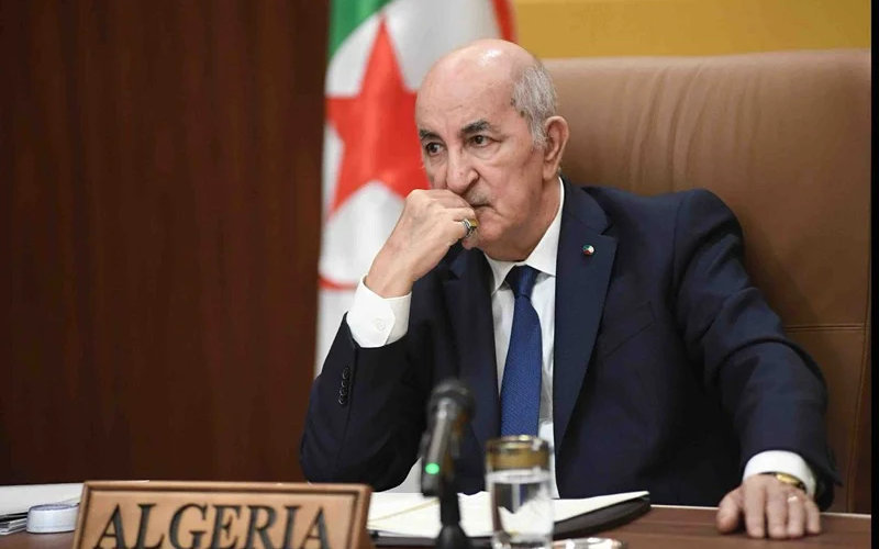 Algeria unveils strategy to punish France