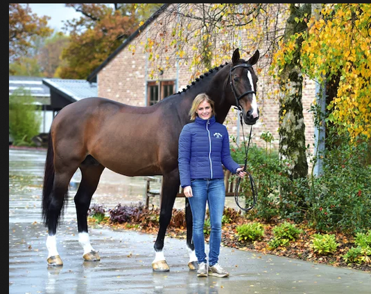 Horse Palace in Belt for sale